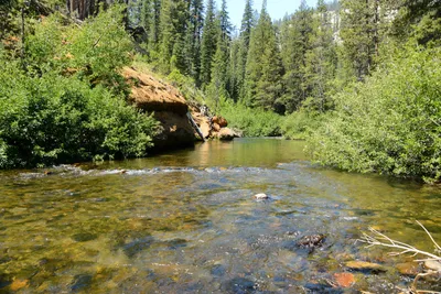 DSC_0222 (Large).JPG